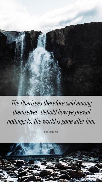 Picture 06 - John 12:19 ASV Mobile Phone Wallpaper - The Pharisees therefore said among themselves, - Mobile Bible Verse Wallpaper