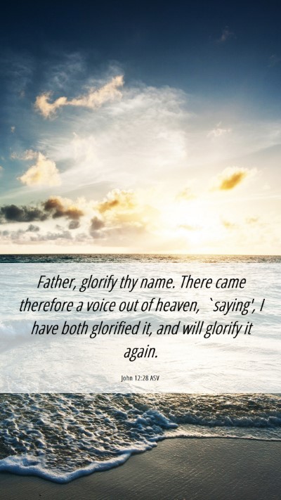 Picture 06 - John 12:28 ASV Mobile Phone Wallpaper - Father, glorify thy name. There came therefore a - Mobile Bible Verse Wallpaper