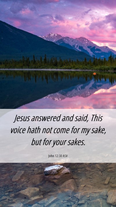Picture 06 - John 12:30 ASV Mobile Phone Wallpaper - Jesus answered and said, This voice hath not come - Mobile Bible Verse Wallpaper