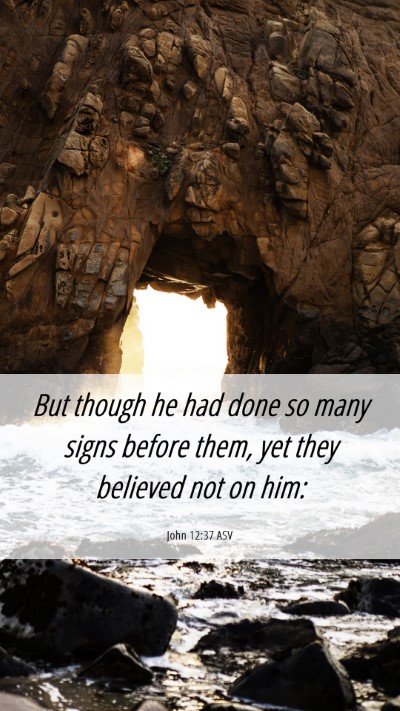 Picture 06 - John 12:37 ASV Mobile Phone Wallpaper - But though he had done so many signs before them, - Mobile Bible Verse Wallpaper
