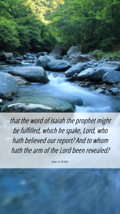 Picture 06 - John 12:38 ASV Mobile Phone Wallpaper - that the word of Isaiah the prophet might be - Mobile Bible Verse Wallpaper