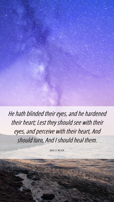 Picture 06 - John 12:40 ASV Mobile Phone Wallpaper - He hath blinded their eyes, and he hardened their - Mobile Bible Verse Wallpaper