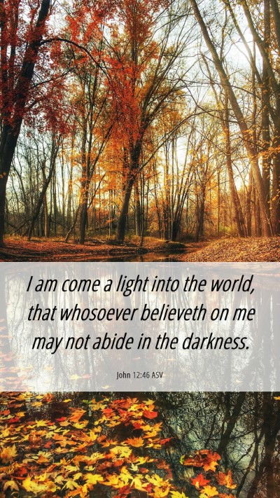 Picture 06 - John 12:46 ASV Mobile Phone Wallpaper - I am come a light into the world, that whosoever - Mobile Bible Verse Wallpaper