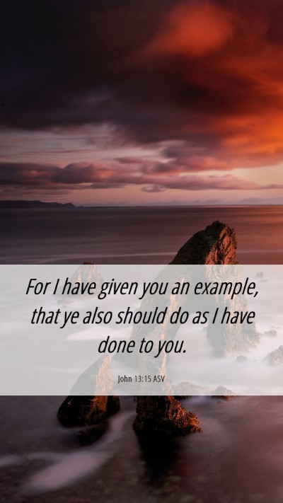 Picture 06 - John 13:15 ASV Mobile Phone Wallpaper - For I have given you an example, that ye also - Mobile Bible Verse Wallpaper