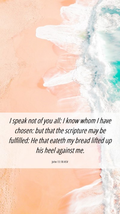 Picture 06 - John 13:18 ASV Mobile Phone Wallpaper - I speak not of you all: I know whom I have - Mobile Bible Verse Wallpaper
