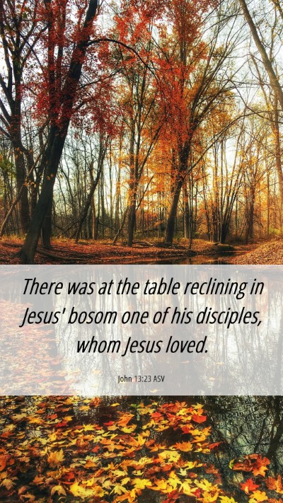 Picture 06 - John 13:23 ASV Mobile Phone Wallpaper - There was at the table reclining in Jesus' bosom - Mobile Bible Verse Wallpaper