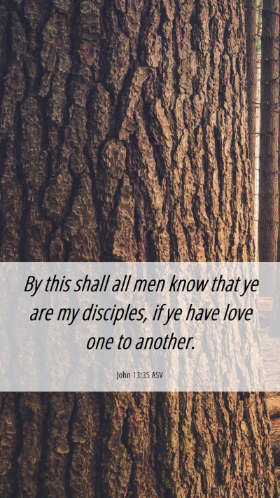 Picture 06 - John 13:35 ASV Mobile Phone Wallpaper - By this shall all men know that ye are my - Mobile Bible Verse Wallpaper