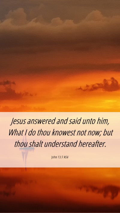 Picture 06 - John 13:7 ASV Mobile Phone Wallpaper - Jesus answered and said unto him, What I do thou - Mobile Bible Verse Wallpaper