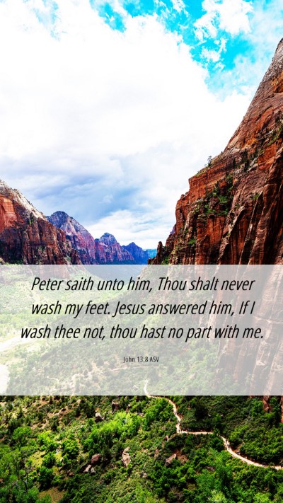 Picture 06 - John 13:8 ASV Mobile Phone Wallpaper - Peter saith unto him, Thou shalt never wash my - Mobile Bible Verse Wallpaper