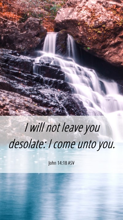 Picture 06 - John 14:18 ASV Mobile Phone Wallpaper - I will not leave you desolate: I come unto - Mobile Bible Verse Wallpaper