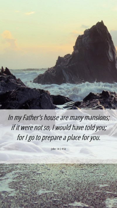 Picture 06 - John 14:2 ASV Mobile Phone Wallpaper - In my Father's house are many mansions; if it - Mobile Bible Verse Wallpaper