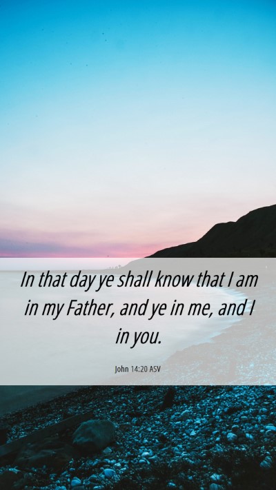 Picture 06 - John 14:20 ASV Mobile Phone Wallpaper - In that day ye shall know that I am in my Father, - Mobile Bible Verse Wallpaper