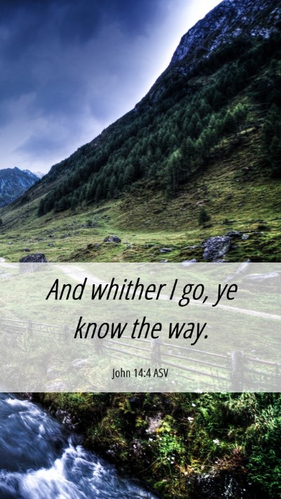 Picture 06 - John 14:4 ASV Mobile Phone Wallpaper - And whither I go, ye know the - Mobile Bible Verse Wallpaper