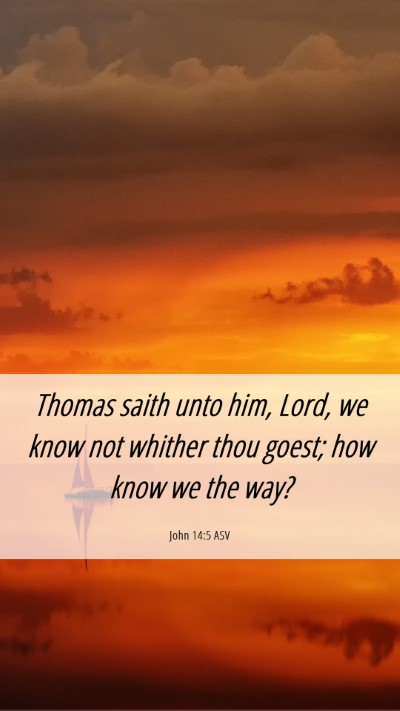 Picture 06 - John 14:5 ASV Mobile Phone Wallpaper - Thomas saith unto him, Lord, we know not whither - Mobile Bible Verse Wallpaper