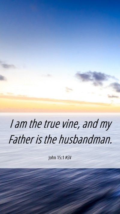 Picture 06 - John 15:1 ASV Mobile Phone Wallpaper - I am the true vine, and my Father is the - Mobile Bible Verse Wallpaper