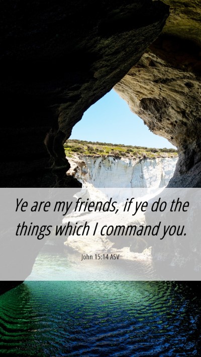 Picture 06 - John 15:14 ASV Mobile Phone Wallpaper - Ye are my friends, if ye do the things which I - Mobile Bible Verse Wallpaper