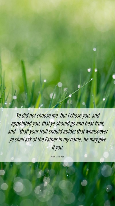 Picture 06 - John 15:16 ASV Mobile Phone Wallpaper - Ye did not choose me, but I chose you, and - Mobile Bible Verse Wallpaper