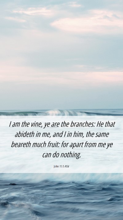 Picture 06 - John 15:5 ASV Mobile Phone Wallpaper - I am the vine, ye are the branches: He that - Mobile Bible Verse Wallpaper