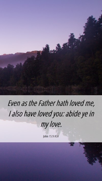 Picture 06 - John 15:9 ASV Mobile Phone Wallpaper - Even as the Father hath loved me, I also have - Mobile Bible Verse Wallpaper