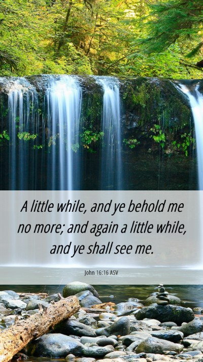 Picture 06 - John 16:16 ASV Mobile Phone Wallpaper - A little while, and ye behold me no more; and - Mobile Bible Verse Wallpaper