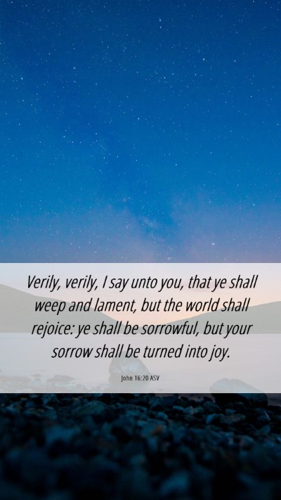 Picture 06 - John 16:20 ASV Mobile Phone Wallpaper - Verily, verily, I say unto you, that ye shall - Mobile Bible Verse Wallpaper