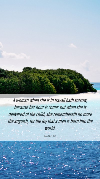 Picture 06 - John 16:21 ASV Mobile Phone Wallpaper - A woman when she is in travail hath sorrow, - Mobile Bible Verse Wallpaper