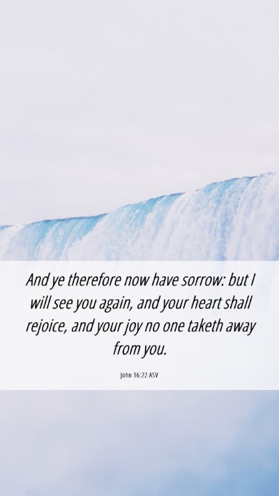 Picture 06 - John 16:22 ASV Mobile Phone Wallpaper - And ye therefore now have sorrow: but I will see - Mobile Bible Verse Wallpaper