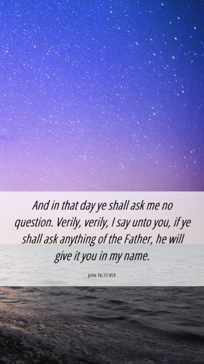 Picture 06 - John 16:23 ASV Mobile Phone Wallpaper - And in that day ye shall ask me no question. - Mobile Bible Verse Wallpaper
