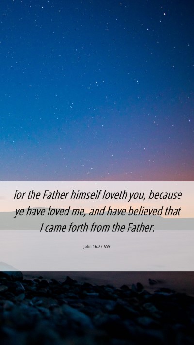 Picture 06 - John 16:27 ASV Mobile Phone Wallpaper - for the Father himself loveth you, because ye - Mobile Bible Verse Wallpaper