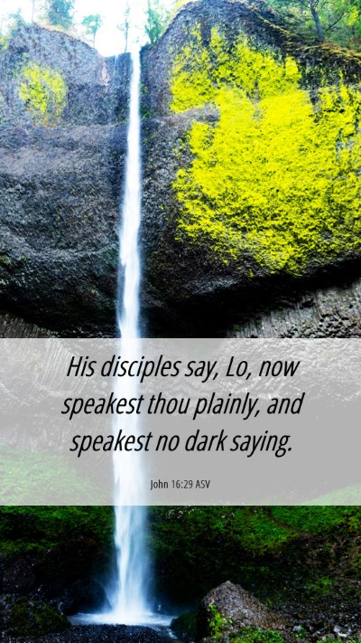 Picture 06 - John 16:29 ASV Mobile Phone Wallpaper - His disciples say, Lo, now speakest thou plainly, - Mobile Bible Verse Wallpaper