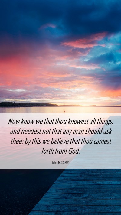 Picture 06 - John 16:30 ASV Mobile Phone Wallpaper - Now know we that thou knowest all things, and - Mobile Bible Verse Wallpaper