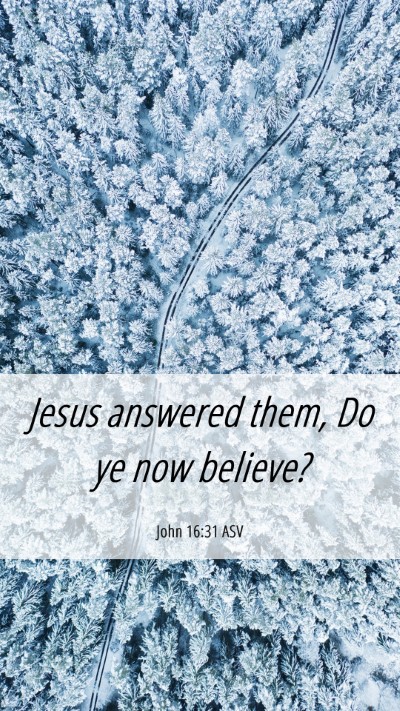 Picture 06 - John 16:31 ASV Mobile Phone Wallpaper - Jesus answered them, Do ye now - Mobile Bible Verse Wallpaper