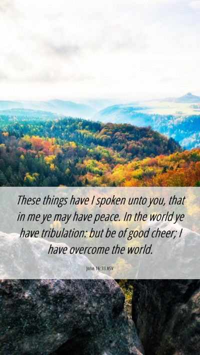Picture 06 - John 16:33 ASV Mobile Phone Wallpaper - These things have I spoken unto you, that in me - Mobile Bible Verse Wallpaper