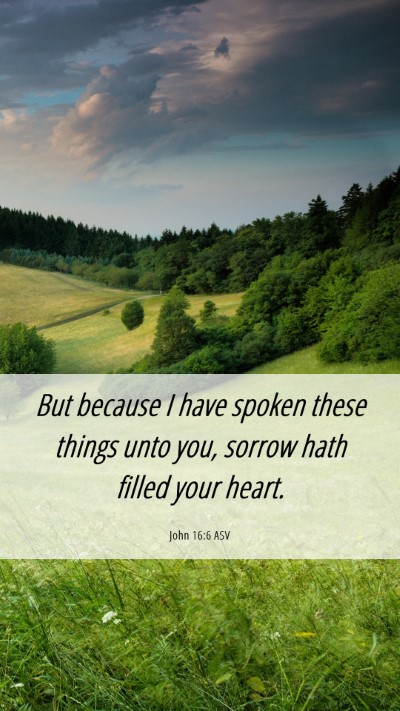 Picture 06 - John 16:6 ASV Mobile Phone Wallpaper - But because I have spoken these things unto you, - Mobile Bible Verse Wallpaper