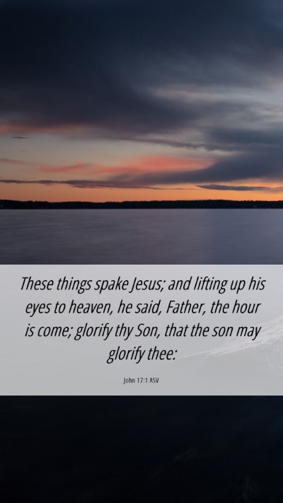 Picture 06 - John 17:1 ASV Mobile Phone Wallpaper - These things spake Jesus; and lifting up his eyes - Mobile Bible Verse Wallpaper