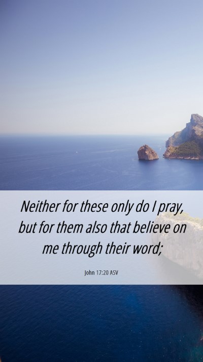 Picture 06 - John 17:20 ASV Mobile Phone Wallpaper - Neither for these only do I pray, but for them - Mobile Bible Verse Wallpaper