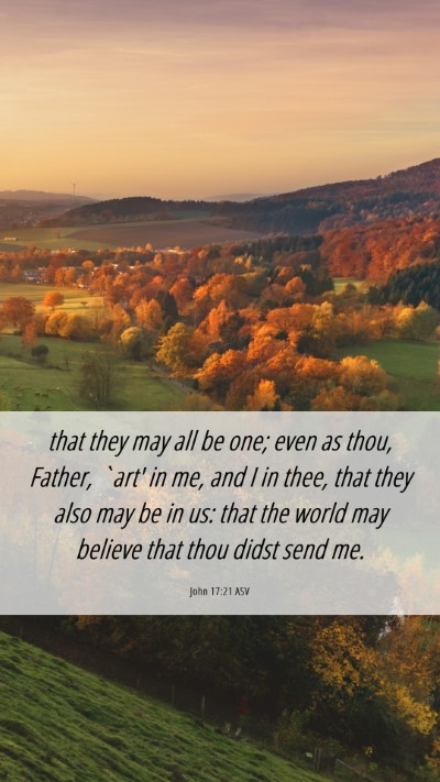 Picture 06 - John 17:21 ASV Mobile Phone Wallpaper - that they may all be one; even as thou, Father, - Mobile Bible Verse Wallpaper