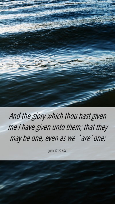 Picture 06 - John 17:22 ASV Mobile Phone Wallpaper - And the glory which thou hast given me I have - Mobile Bible Verse Wallpaper