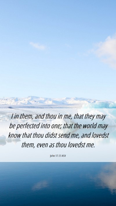 Picture 06 - John 17:23 ASV Mobile Phone Wallpaper - I in them, and thou in me, that they may be - Mobile Bible Verse Wallpaper