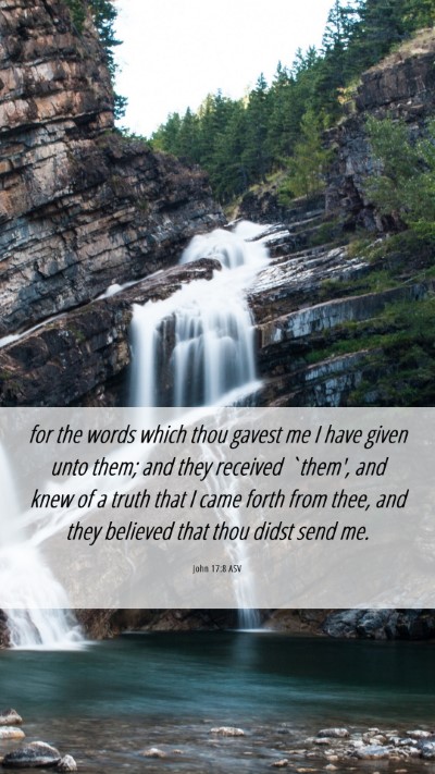 Picture 06 - John 17:8 ASV Mobile Phone Wallpaper - for the words which thou gavest me I have given - Mobile Bible Verse Wallpaper