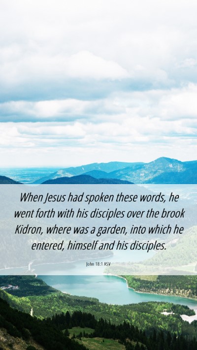 Picture 06 - John 18:1 ASV Mobile Phone Wallpaper - When Jesus had spoken these words, he went forth - Mobile Bible Verse Wallpaper