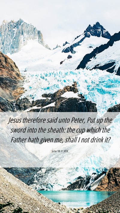 Picture 06 - John 18:11 ASV Mobile Phone Wallpaper - Jesus therefore said unto Peter, Put up the sword - Mobile Bible Verse Wallpaper
