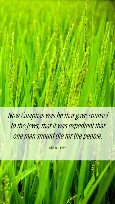 Picture 06 - John 18:14 ASV Mobile Phone Wallpaper - Now Caiaphas was he that gave counsel to the - Mobile Bible Verse Wallpaper