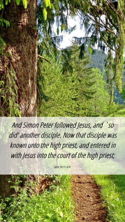 Picture 06 - John 18:15 ASV Mobile Phone Wallpaper - And Simon Peter followed Jesus, and `so did' - Mobile Bible Verse Wallpaper