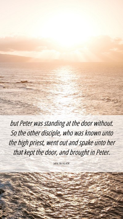 Picture 06 - John 18:16 ASV Mobile Phone Wallpaper - but Peter was standing at the door without. So - Mobile Bible Verse Wallpaper