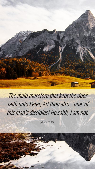 Picture 06 - John 18:17 ASV Mobile Phone Wallpaper - The maid therefore that kept the door saith unto - Mobile Bible Verse Wallpaper