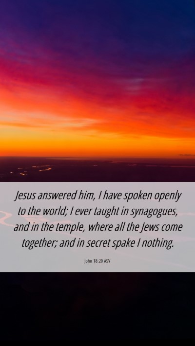 Picture 06 - John 18:20 ASV Mobile Phone Wallpaper - Jesus answered him, I have spoken openly to the - Mobile Bible Verse Wallpaper