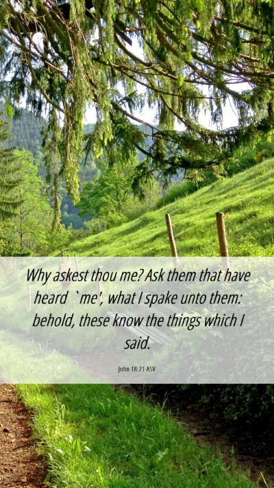 Picture 06 - John 18:21 ASV Mobile Phone Wallpaper - Why askest thou me? Ask them that have heard - Mobile Bible Verse Wallpaper