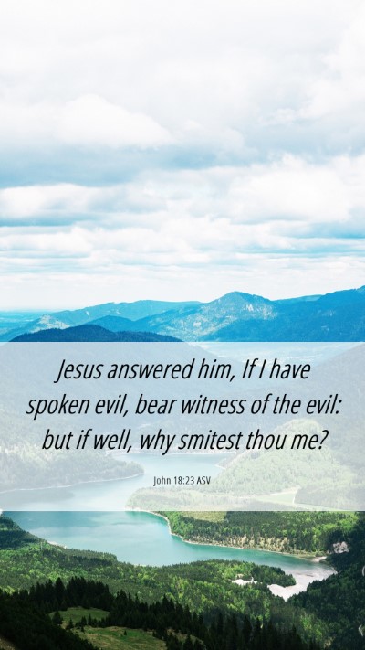 Picture 06 - John 18:23 ASV Mobile Phone Wallpaper - Jesus answered him, If I have spoken evil, bear - Mobile Bible Verse Wallpaper