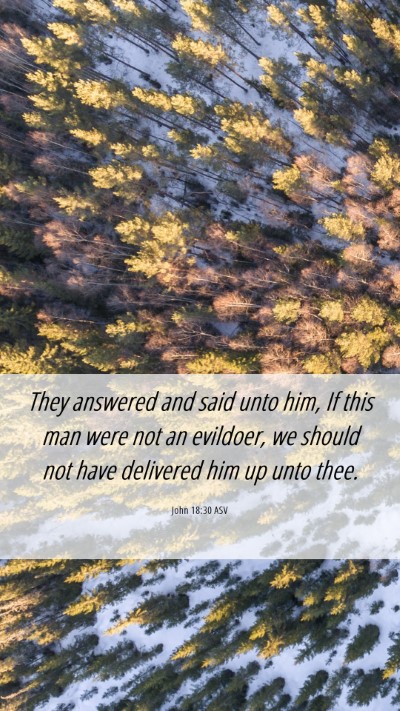 Picture 06 - John 18:30 ASV Mobile Phone Wallpaper - They answered and said unto him, If this man were - Mobile Bible Verse Wallpaper
